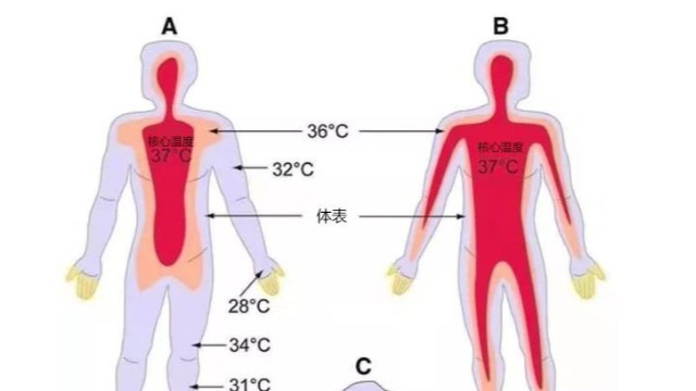 工業(yè)紅外測溫儀-便攜式熱成像測溫儀能用于體溫檢測嗎？